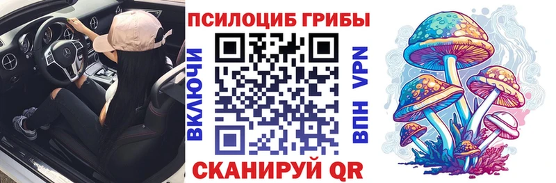 наркошоп Покровск Псилоцибиновые грибы GOLDEN TEACHER
